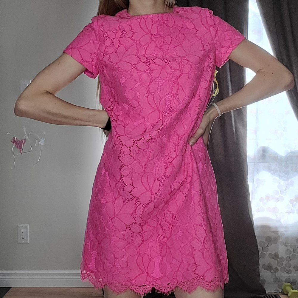Cece petite floral lace lined dress